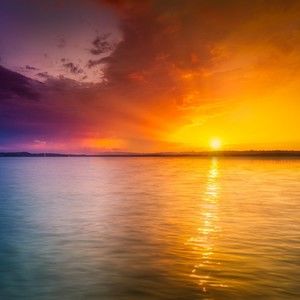 Meet your Posher, Miki